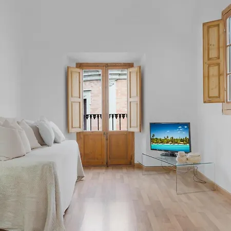 Apartment Penthouse In Historic Center By Costarentals - Mal01 Malaga